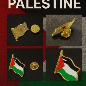 Pin’s Palestine drapeau