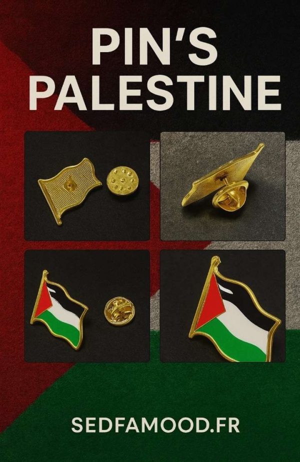 Pin’s Palestine drapeau